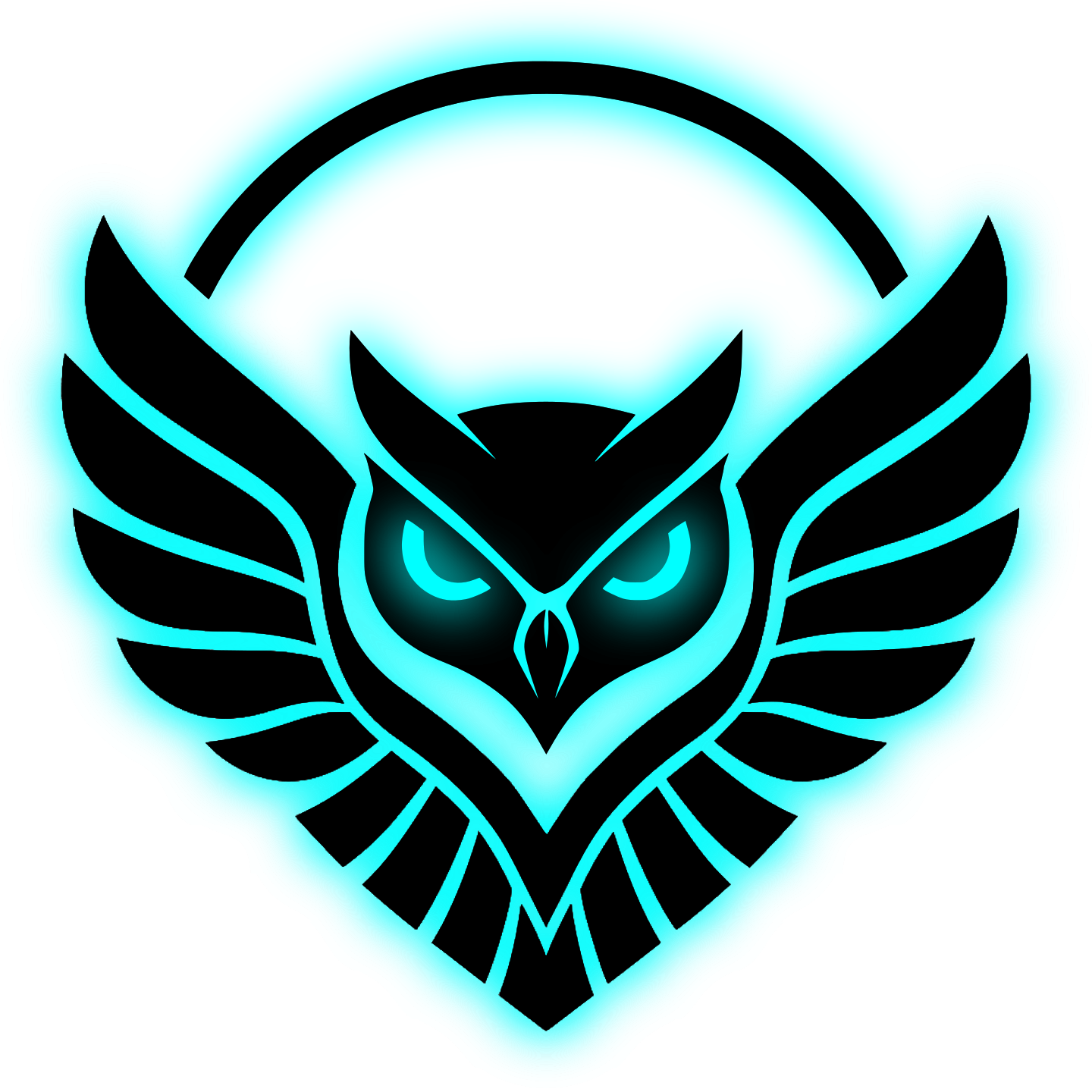 OWL SYSTEMS logo